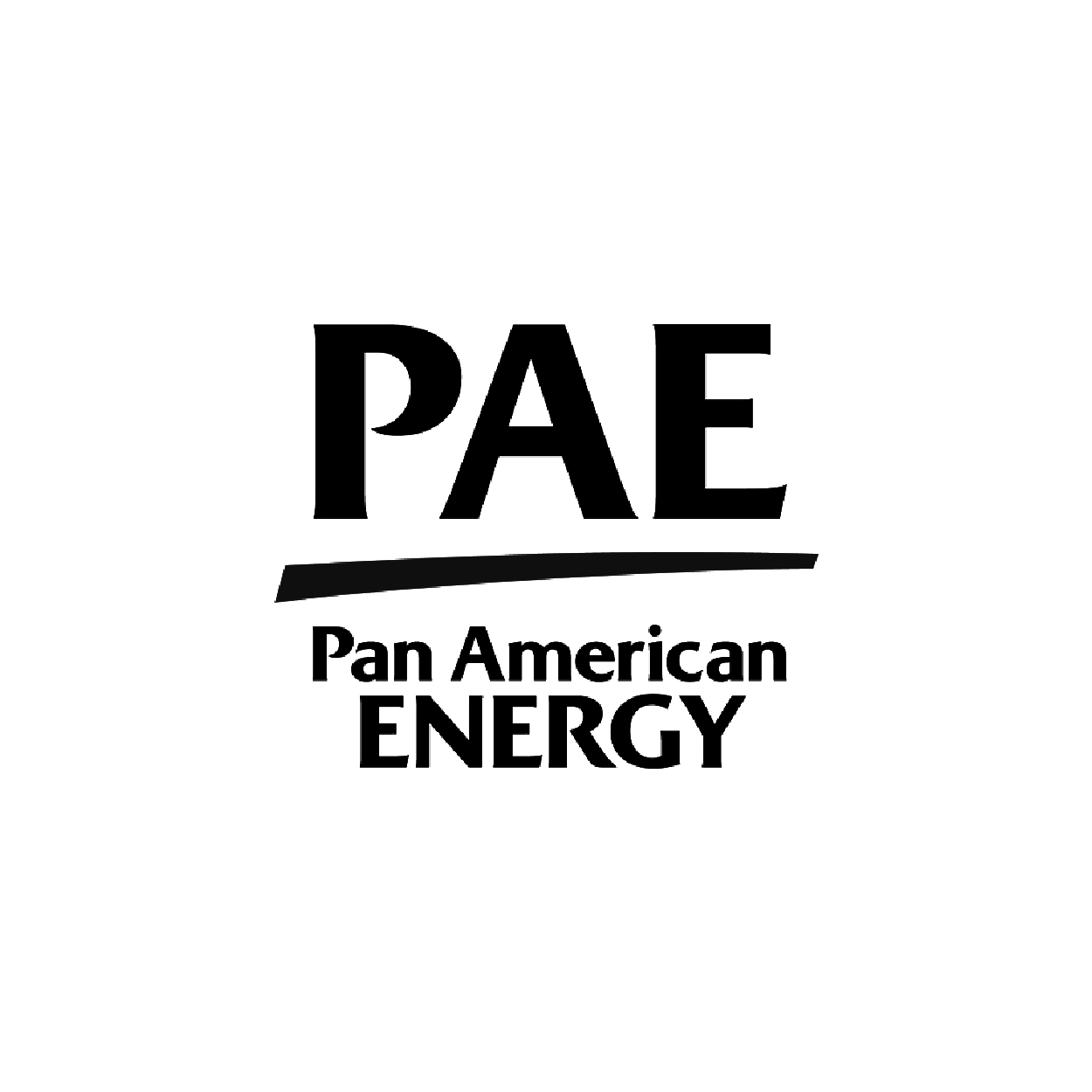 PAN AMERICAN ENERGY (PAE)